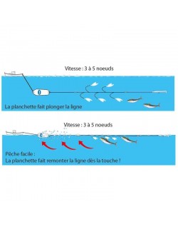 FLASHMER. Planchette Japonaise