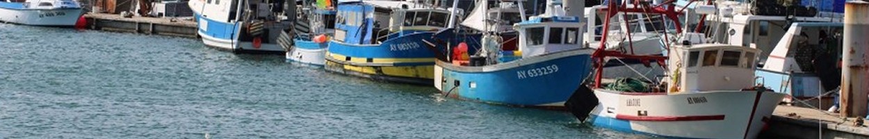 Le Port de Quiberon